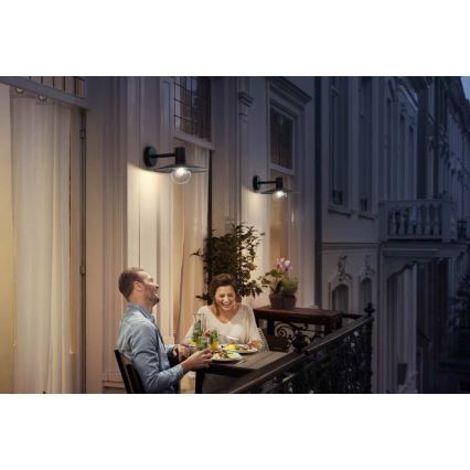 Philips - Outdoor light 1xE27/42W/230V IP44
