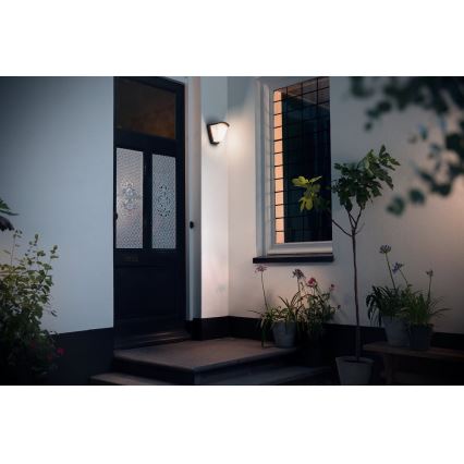Philips 17383/93/PN - Outdoor wall light  KISKADEE 1xE27/42W/230V IP44
