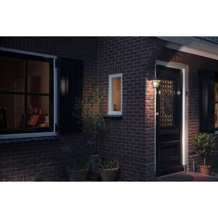 Philips - Outdoor wall light 1xE27/42W
