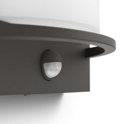 Philips - LED Outdoor wall light LED/12W IP44
