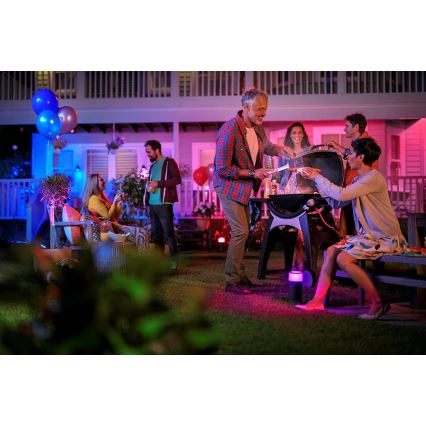 Philips 17415/30/P7 - LED RGB Outdoor spotlight HUE LILY LED/8W/230V IP65