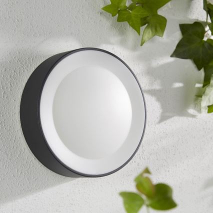 Philips - LED RGBW Dimmable outdoor wall light Hue DAYLO LED/15W/230V 2000-6500K IP44