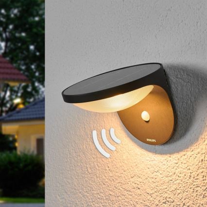 Philips - LED Outdoor solar light with a sensor 1xLED/1W/3,7V IP44