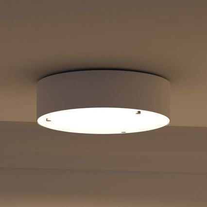Philips - Ceiling light 2xE27/23W/230V