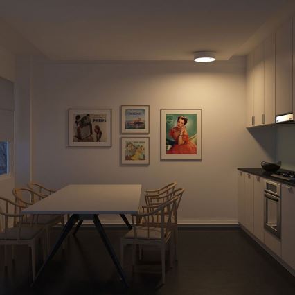Philips - Ceiling light 2xE27/23W/230V