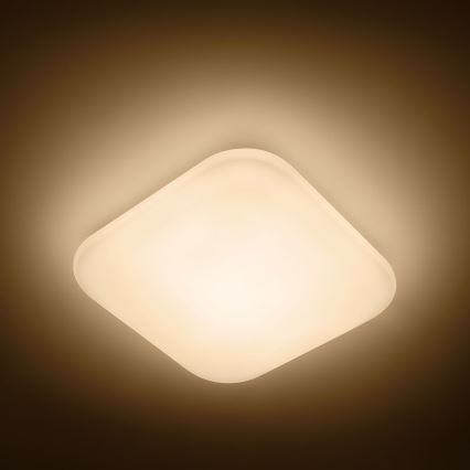 Philips - LED ceiling light LED/17W/230V 2700K
