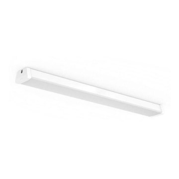 Philips 31247/31/P0 - LED Technical fluorescent light AQUALINE LED/50W/230V IP65