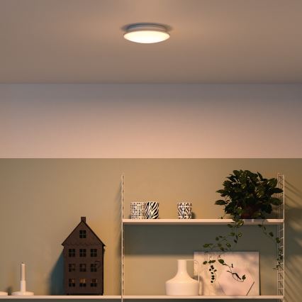 Philips - Ceiling light LED/10W/230V