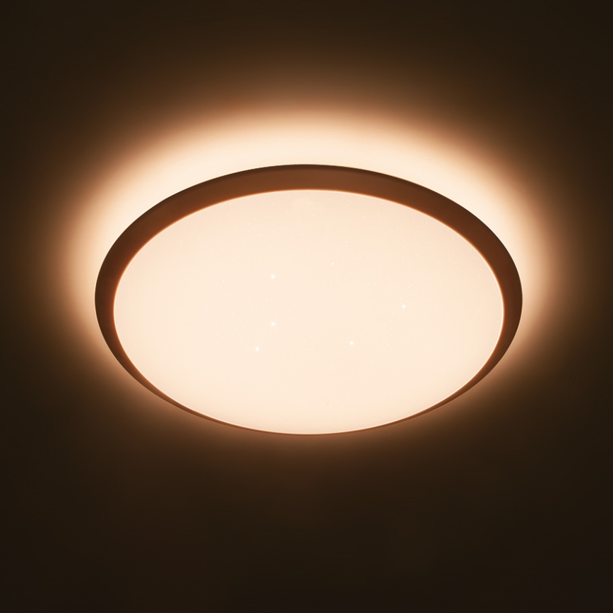 Philips 32809/31/P0 - LED Dimming ceiling light CANAVAL LED/18W/230V