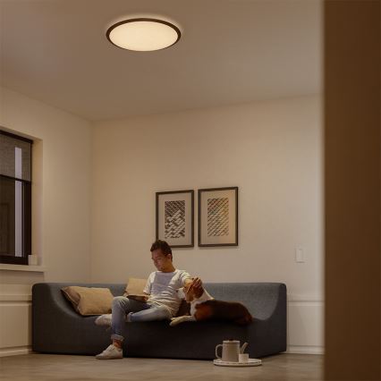 Philips 32809/31/P0 - LED Dimming ceiling light CANAVAL LED/18W/230V