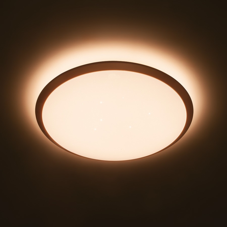 Philips 32809/31/P3 - LED Dimming ceiling light CANAVAL LED/18W/230V