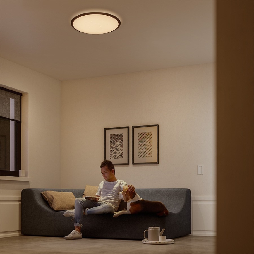 Philips 32809/31/P3 - LED Dimming ceiling light CANAVAL LED/18W/230V