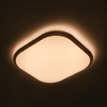 Philips 32810/31/P0 - LED Dimming ceiling light  CANAVAL LED/18W/230V