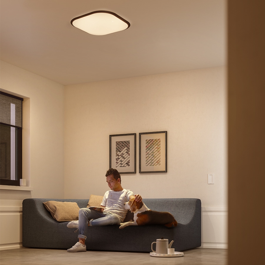 Philips 32810/31/P0 - LED Dimming ceiling light  CANAVAL LED/18W/230V