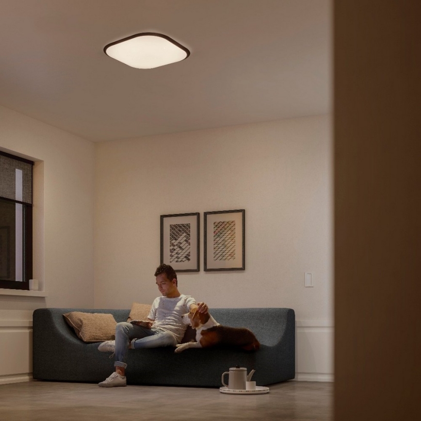 Philips 32810/31/P3 - LED Dimming ceiling light CANAVAL LED/18W/230V