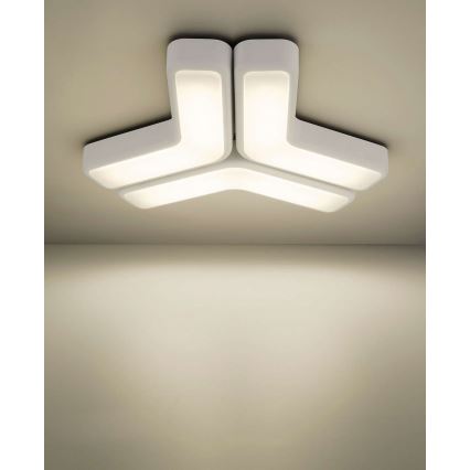 Philips 33100/31/16 - Wall light MYLIVING PLAYFUL 2x2G7/11W white