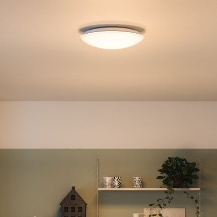 Philips 33365/31/P0 - Ceiling light MYLIVING MAUVE 1xLED/22W/230V