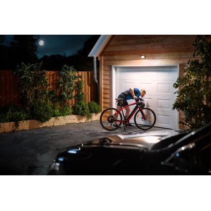 Philips 3389/41/99 - LED Flood light LED/20W/230V IP65