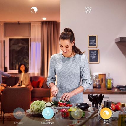 Philips - LED Dimmable light Hue FAIR LED/33,5W/230V + remote control