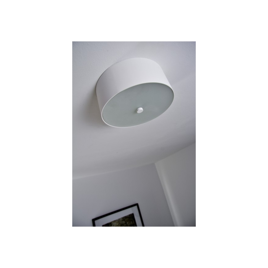 Philips 40832/31/16 - Dimmable ceiling light MYLIVING SEQUENS LED/7,5W/230V