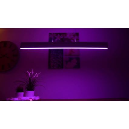 Philips -  LED RGBW Dimmable chandelier on a string Hue ENSIS White And Color Ambiance 2xLED/39W/230V