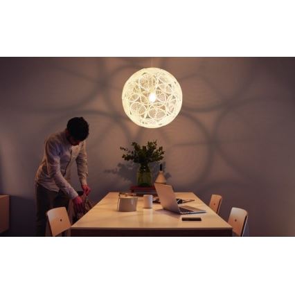 Philips - Ceiling pendant light E27/60W/230V