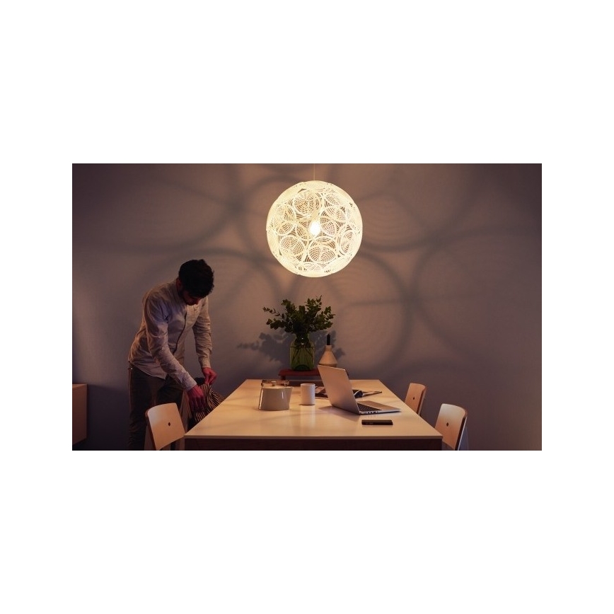 Philips - Ceiling pendant light E27/60W/230V