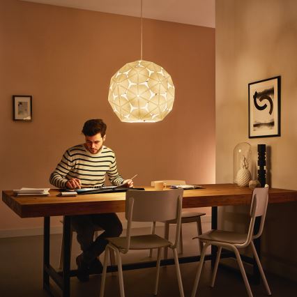 Philips - Chandelier on a string 1xE27/60W/230V
