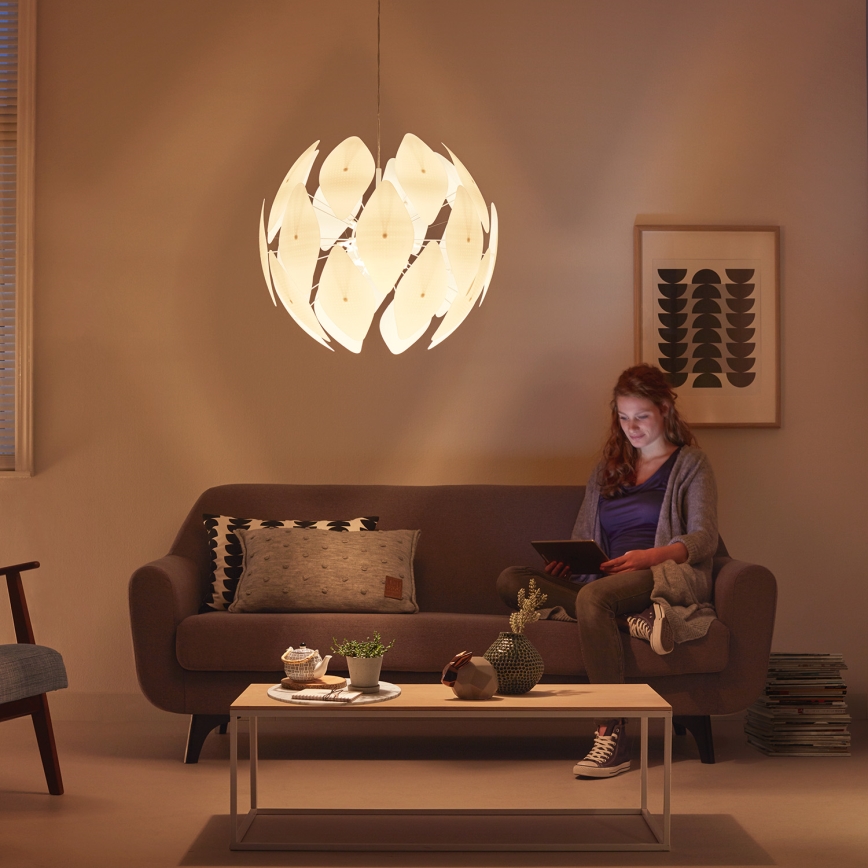 Philips - Ceiling pendant light E27/60W/230V
