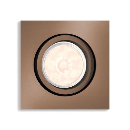 Philips - Recessed light 1xGU10/5,5W/230V