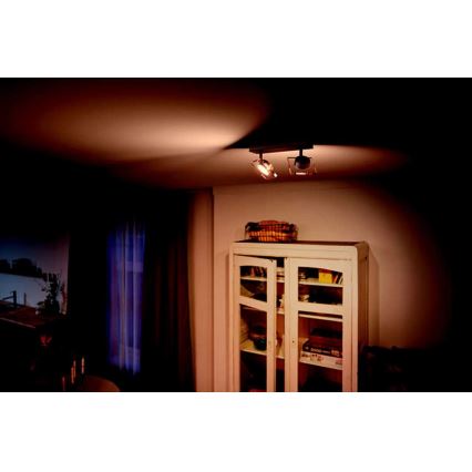 Philips 50482/17/PO - LED spotlight GOLYGON 2xLED/4,5W/230V