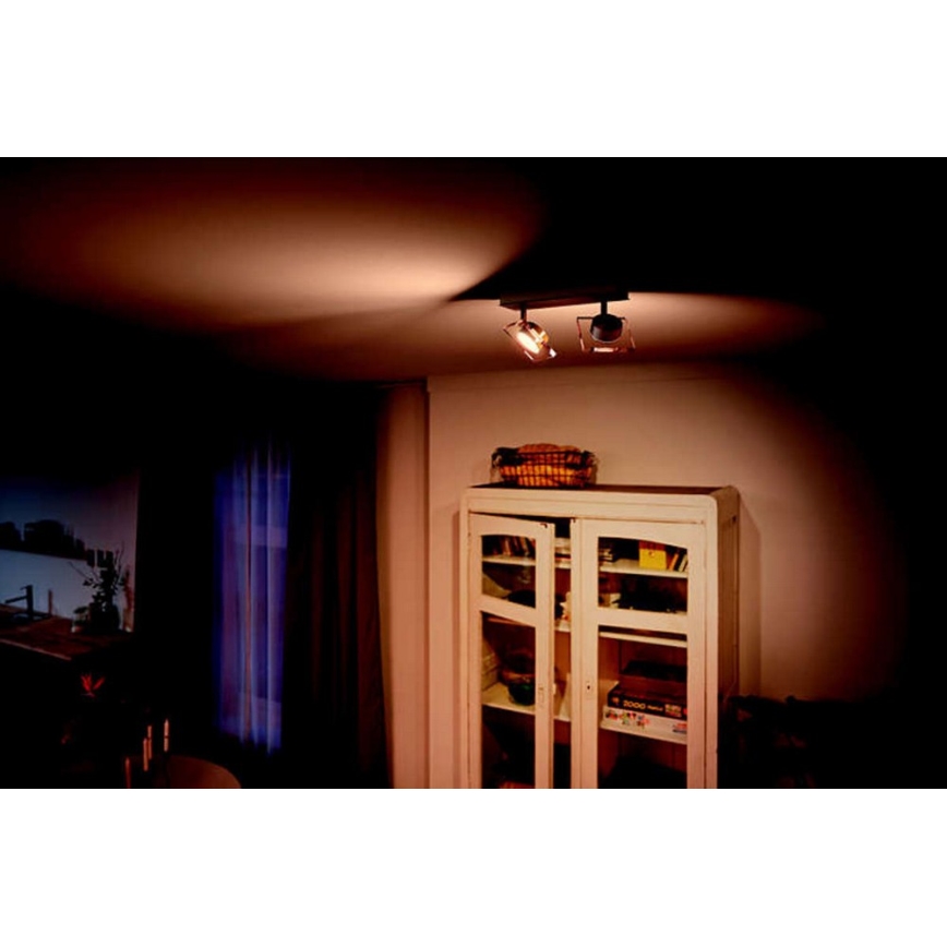 Philips 50482/17/PO - LED spotlight GOLYGON 2xLED/4,5W/230V