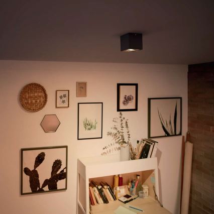 Philips - Dimmable LED spotlight LED/4,5W/230V