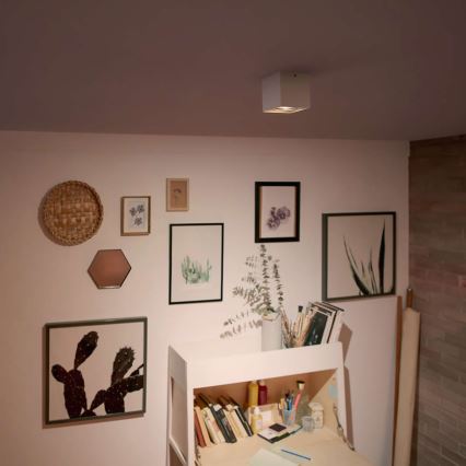 Philips - Dimmable LED Spotlight LED/4.5W/230V