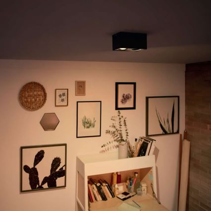 Philips - LED Dimmable spotlight 2xLED/4,5W/230V
