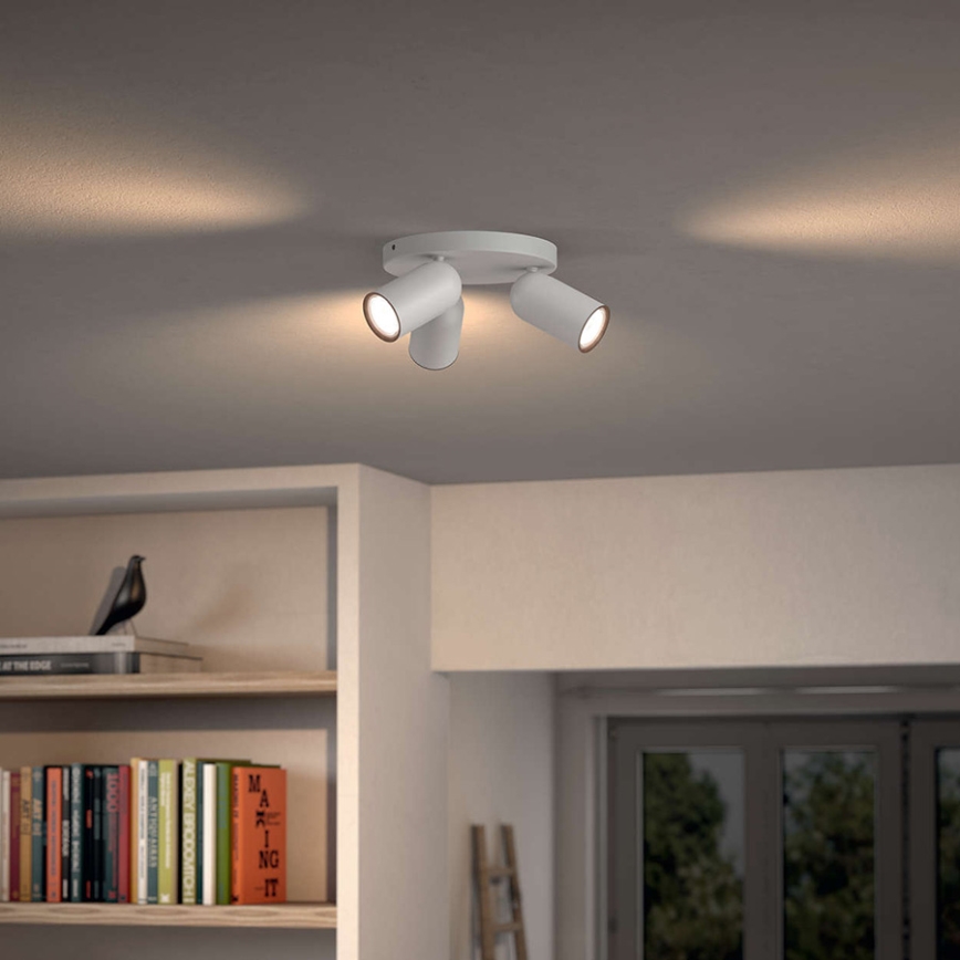 Philips - Spotlight 3xGU10/5.5W/230V