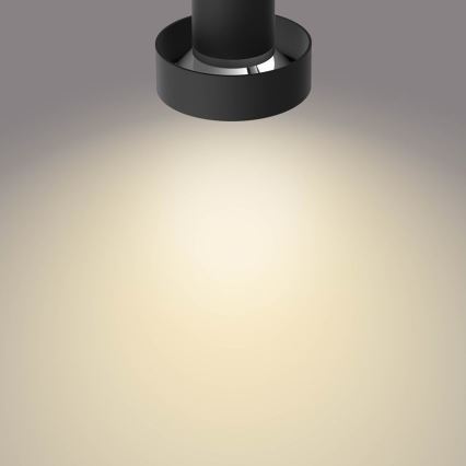 Philips 50601/30/P0 - LED Spotlight BUKKO LED/4,5W/230V