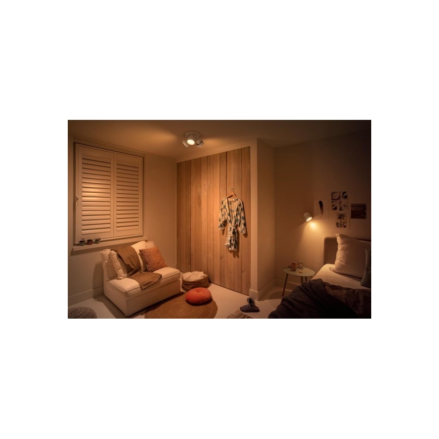 Philips 50601/31/P0 - LED Spotlight BUKKO LED/4,5W/230V