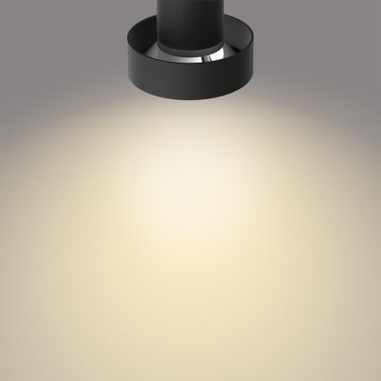 Philips 50602/30/P0 - LED Dimmable spotlight BUKKO 2xLED/4,5W/230V