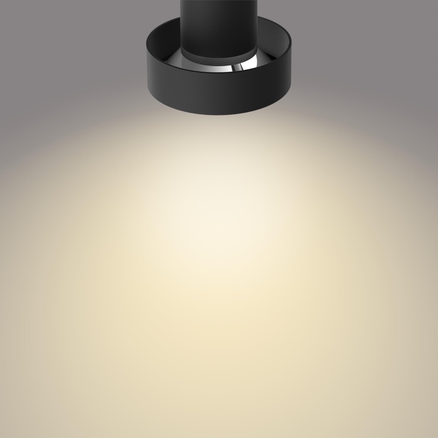Philips 50602/30/P0 - LED Dimmable spotlight BUKKO 2xLED/4,5W/230V