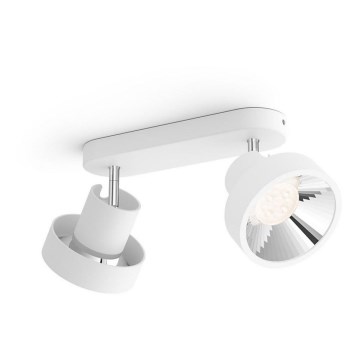 Philips 50602/31/P0 - LED Spotlight BUKKO 2xLED/4,5W/230V