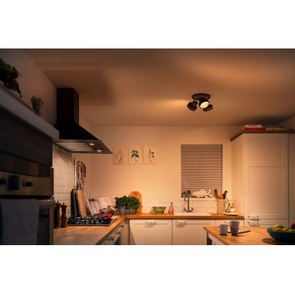Philips 50603/30/P0 - LED Dimmable spotlight BUKKO 3xLED/4,3W/230V