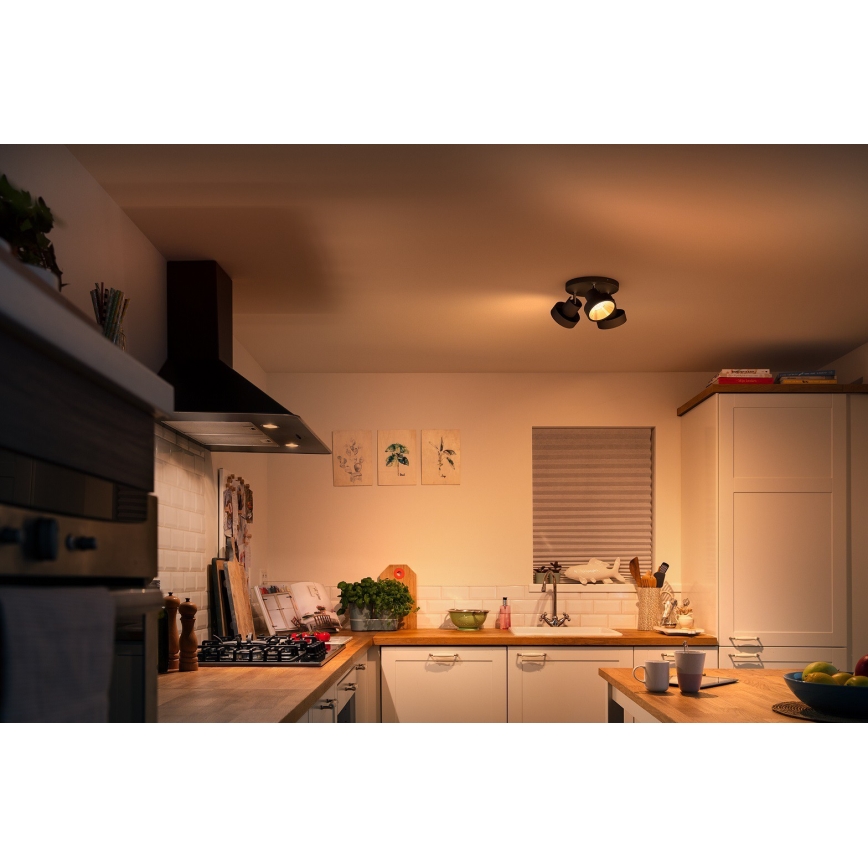 Philips 50603/30/P0 - LED Dimmable spotlight BUKKO 3xLED/4,3W/230V