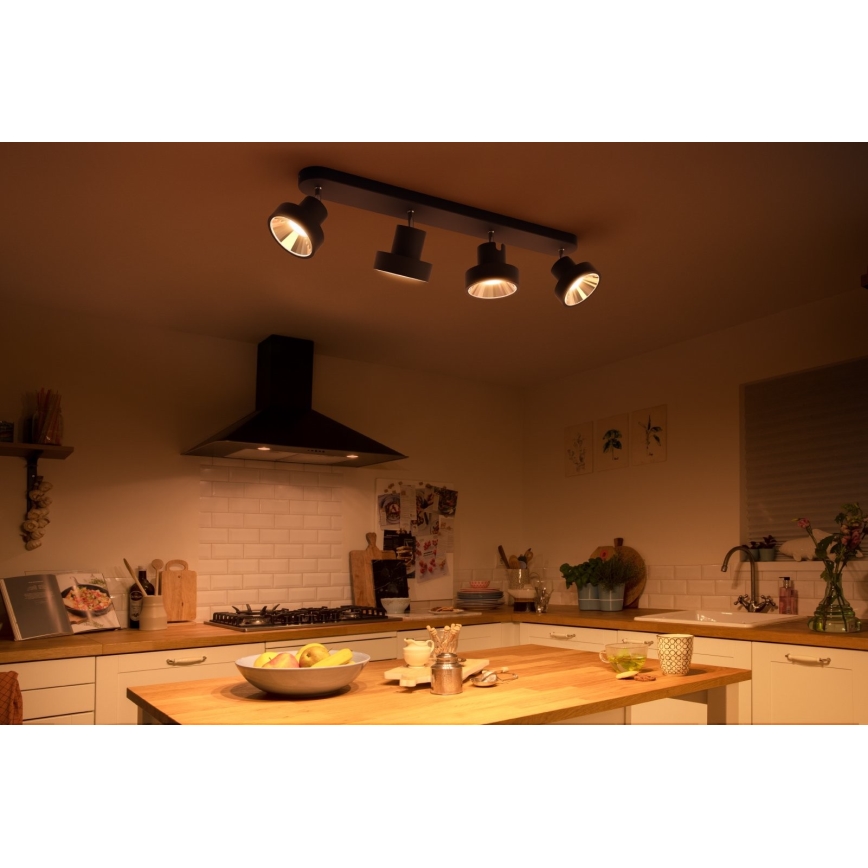Philips 50604/30/P0 - LED Spotlight BUKKO 4xLED/4,3W/230V