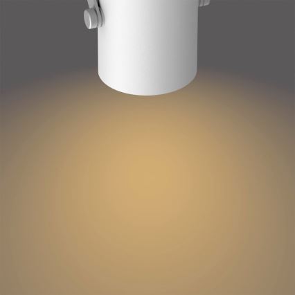 Philips - LED Spotlight 2xLED/4,3W/230V 2200/2500/2700K