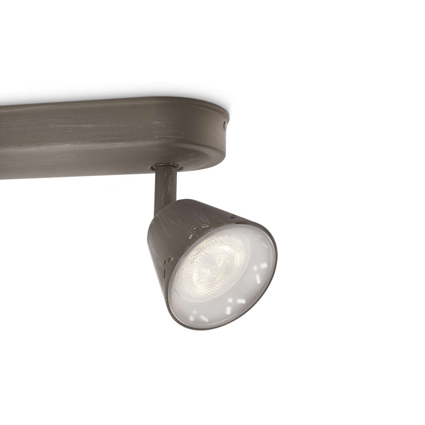 Philips 53252/26/16 - LED spotlight MYLIVING IDYLLIC 2xLED SMD/4W/230V