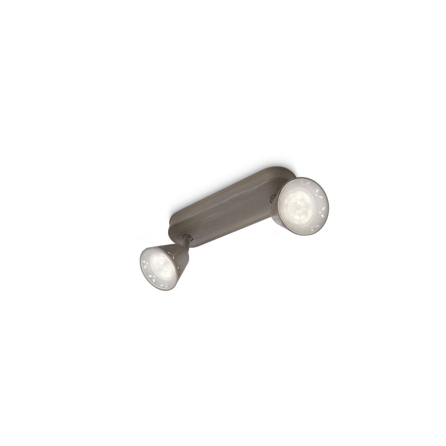 Philips 53252/26/16 - LED spotlight MYLIVING IDYLLIC 2xLED SMD/4W/230V