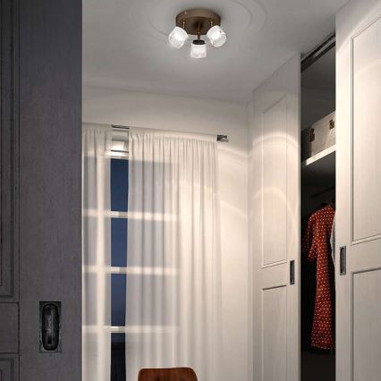 Philips - LED spotlight 3xLED/4W/230V