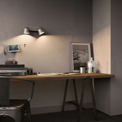 Philips - LED spotlight 2xLED/4W/230V