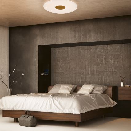 Philips - LED Dimming ceiling light LED/75W/230V